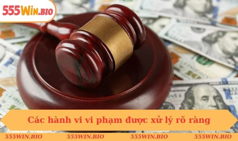 Các hành vi vi phạm được xử lý rõ ràng